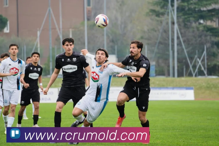 九游体育服务体系